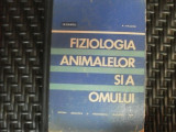 Fiziologia Animalelor Si A Omului - N. Santa ,550295