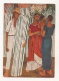 FA91 -Carte Postala- GERMANIA - Diego Rivera, Zuckerrohrernte - Erziehungsministerium in Mexico, necirculata