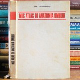 Mic Atlas de Anatomia Omului - Dem. Theodorescu