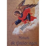 Minuni ale sfintilor ingeri