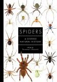 Spiders of the World | Norman Platnick, 2020, The Ivy Press