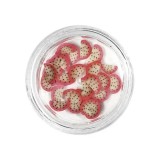 Decorațiune FIMO - pitahaya felii, INGINAILS