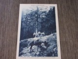 Carte Poștală Franceză &ndash; Fotografie cu Măgar pe Traseu Montan, Piesă de Colecție pentru Iubitorii de Istorie și Natură, Necirculata, Printata