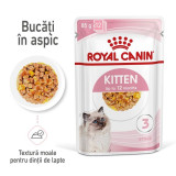 Cumpara ieftin Royal Canin Kitten hrana umeda pisica (aspic), 12x85 g