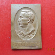 Placheta Dr. Stefan Minovici , f frumoasa 1922