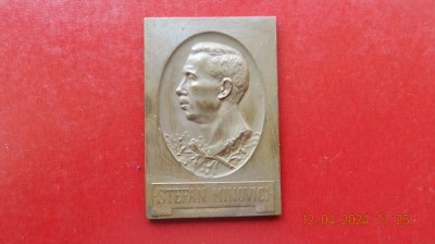 Placheta Stefan Minovici 1928 frumoasa, bronz foto