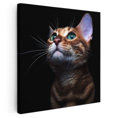 Tablou portret pisica bengaleza Tablou canvas pe panza CU RAMA 30x30 cm