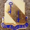 II.114 INSIGNA MILITARA PIN US U.S. Army 118th Support Battalion
