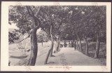 4321 - ADA-KALEH, Park, Litho, Romania - old postcard - unused