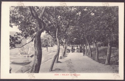 4321 - ADA-KALEH, Park, Litho, Romania - old postcard - unused foto