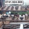 B211 Con ISO 50 DIVERSE MODELE