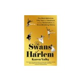The Swans of Harlem: Five Black Ballerinas, Fifty Years of Sisterhood, and Their Reclamation of a Groundbreaking History