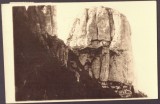 3208 - BORSEC, Harghita, Mountain Giurgeului - old pc. real Photo - used - 1935