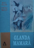 Glanda Mamara - Mihai Pricop Zenovia Pricop ,558451