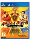 Cobra Kai 2 Dojos Rising PS4