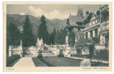 4530 - SINAIA, PELES Castle, Romania - old postcard - unused, Necirculata, Printata