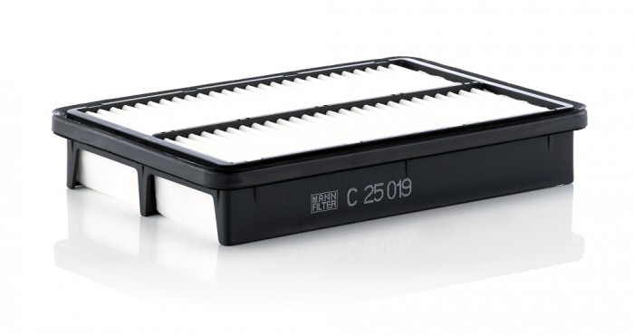Filtru aer Mann-Filter C25019