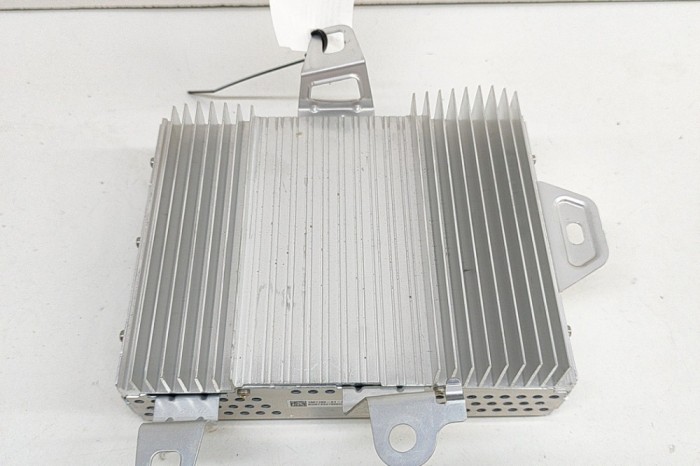 Amplificator de sunet TESLA MODEL Y 2022 OEM: 1507152-01-B 25291275