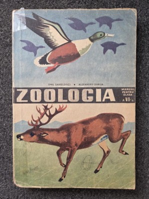 ZOOLOGIE MANUAL PENTRU CLASA A VI-A - Sanielevici, Dabija foto