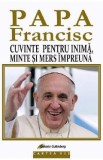 Cuvinte pentru inima, minte si mers impreuna - Papa Francisc, Diane Houdek