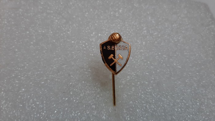 insigna AS Borsa