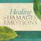 Healing for Damaged Emotions