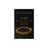 One Perfect Life: The Complete Story of the Lord Jesus