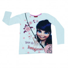 Bluza cu maneca lunga pentru fete Disney Buburuza BFD-01-116-cm, Multicolor foto