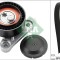 INA 529 0160 10 Set curea transmisie cu caneluri