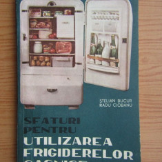 Stelian Bucur - Sfaturi pentru utilizarea frigiderelor casnice
