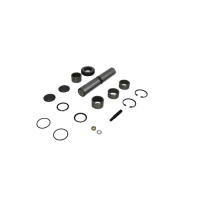 Set pivot Febi Mercedes foto