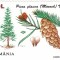 ROMANIA 2000 LP 1526 FLORA 96 SUPRATIPAR CABANA SERIE MNH