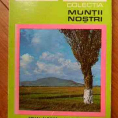 Muntii Persani (harta Lipsa) - Mihai Albota Simona Fesci ,531240