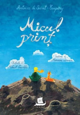 Micul Print (2017) - Antoine de Saint-Exupery foto