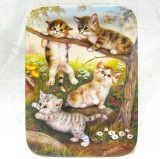 FARFURIE DECORATIVA PORTELAN ANNABURG BAVARIA BRADEX EDITIE LIMITATA DECOR PISICI