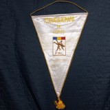 Fanion Fed. Romana de Lupte