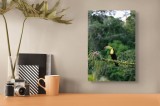 Tablou Canvas, "Tucanul in habitatul natural verde", Colorat, Exotic, Pădure, Natură, Pasăre, Frunziș, Strălucire, Armonie, Spectacol, Forme., 26 x 39