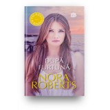 Dupa furtuna