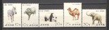 Coreea de Nord.1975 Animale din Gradina zoologica Pjongjang SC.126