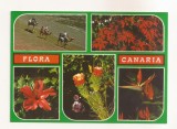 FA114 -Carte Postala- SPANIA - Islas Canaria. Flora Canaria , circulata 1987