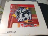 Vinil LP "Japan Press" Various &ndash; WHAT'D I SAY -FCPA 1088 - (EX)