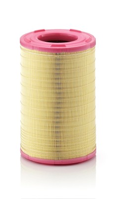MANN-FILTER C 25 003 Filtru aer foto