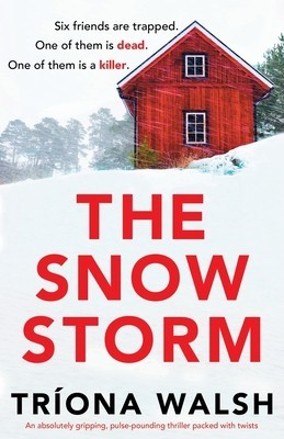 The Snowstorm: An absolutely gripping, pulse-pounding thriller packed with twists foto