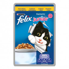 Felix Junior - carne de pui in aspic, 100 g foto