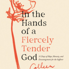 In the Hands of a Fiercely Tender God: 31 Days of Hope, Honesty, and Encouragement for the Sufferer