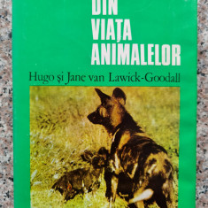 Din Viata Animalelor - Hugo Si Jane Van Lawick-goodall ,552843