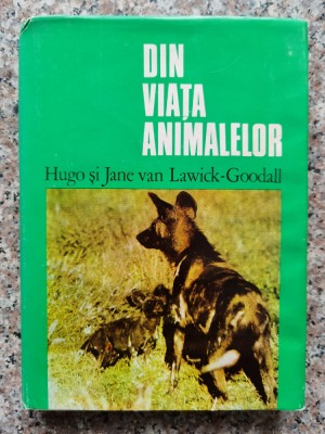 Din Viata Animalelor - Hugo Si Jane Van Lawick-goodall , A219 foto