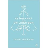 Ce inseamna sa fii un lider bun. De ce este importanta inteligenta emotionala - Daniel Goleman