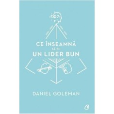 Ce inseamna sa fii un lider bun. De ce este importanta inteligenta emotionala - Daniel Goleman