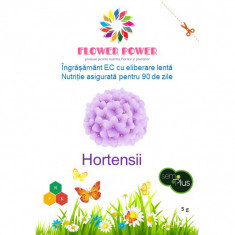 Ingrasamant Flower Power pentru hortensii cu eliberare lenta efect 90 zile 5 grame SemPlus